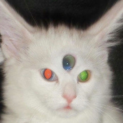 RUTHLESS ARCHANGEL - HEAVENS GATE (PROD. PIERRE1k)