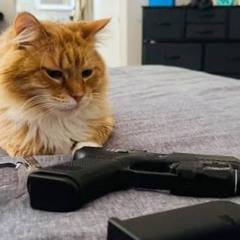 WHOLE LOTTA (ft.OldieLemn)