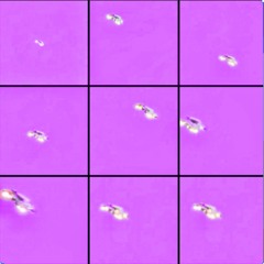 Rixxky Bands - IMPOSTER   SR