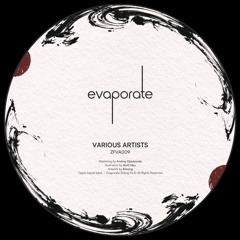 Evaporate Various Artists 009 [ZFVA009] (Pt. 2)