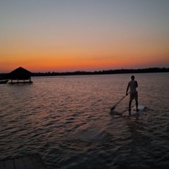 Sunrise Trance Session