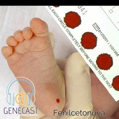 Genecast #038 - Fenilcetonúria
