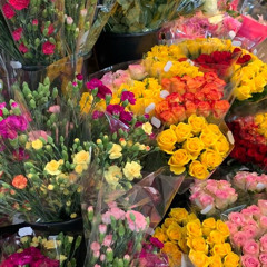 Blackbeans - We (Always) lose something to get something