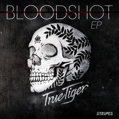Dubstep Timewarp