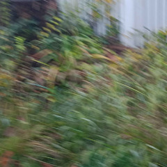 A boy who thought himself a beast & a girl best not reminded of it.