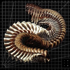Sominaryst - Qualia LP
