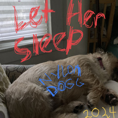Let Her Sleep — 8.1.24 [NYLON DOGG]