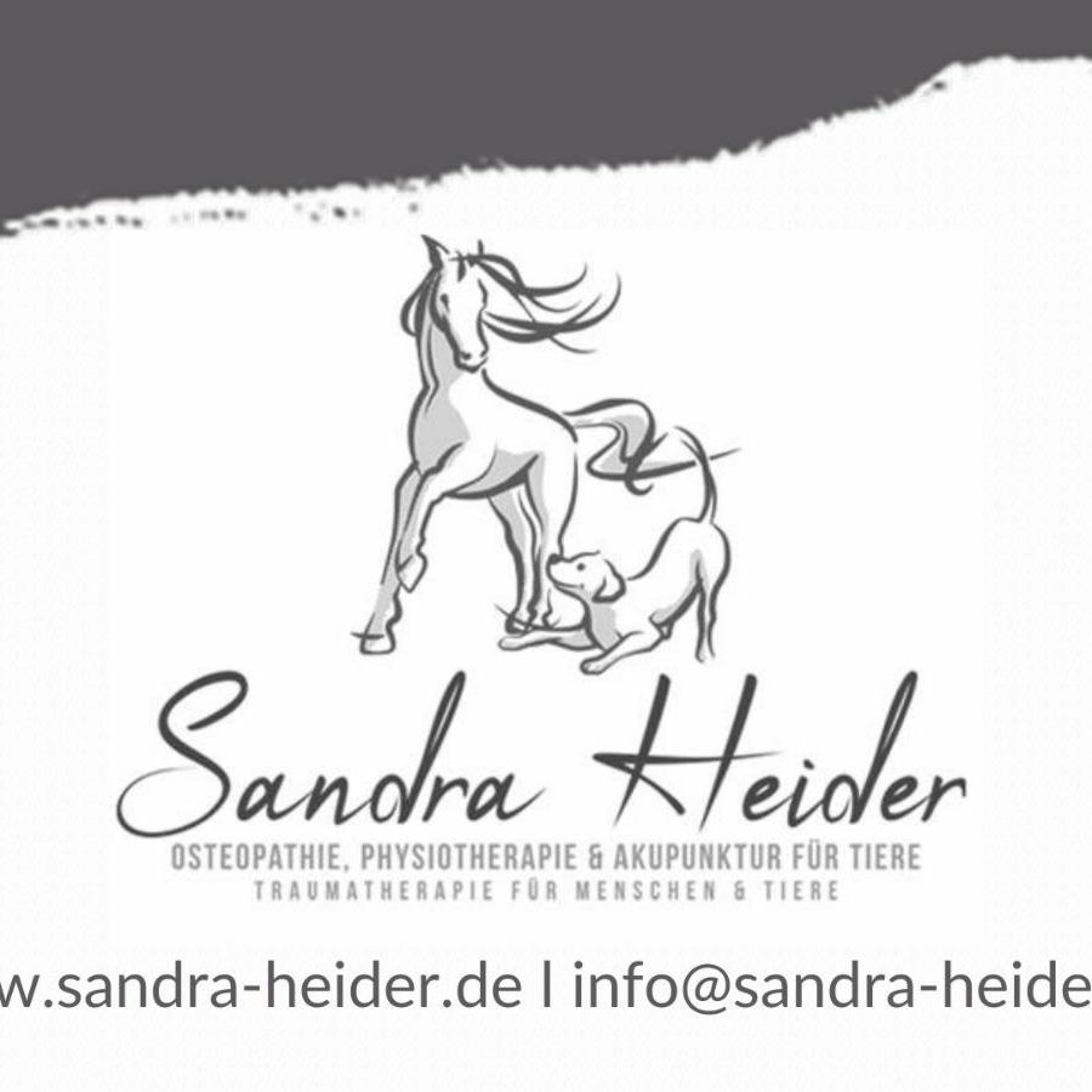 Sandra Heider