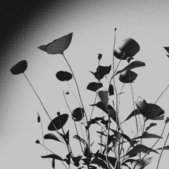 Naïade - Wide Sense [FREE DL]