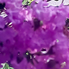 Bloom ❀ (Korg Wavestation EX Synthesizer, Recorded to Tape in 1997).