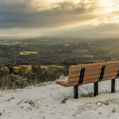 MAJOR PARTY @ PV 2025