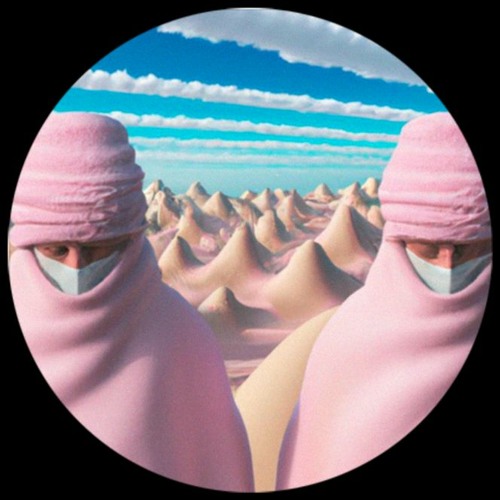 PREMIERE: Salameh, Pink Figment - When I Had Money