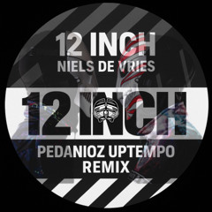 Niels De Vries - 12 Inch - Rocco & BASS-T (PedanioZ Uptempo Edit) Radio Mix