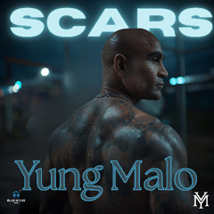Scars