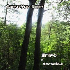 Can't You See? (Feat. $cramble) (Prod. Snifo)