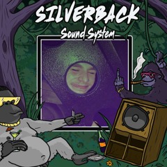 DNB/TEK // KAM - SILVERBACK SUNDAY SESSIONS