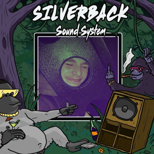 DNB/TEK // KAM - SILVERBACK SUNDAY SESSIONS