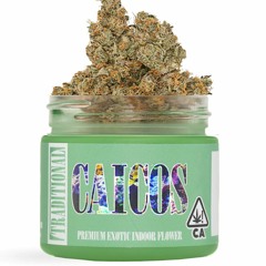 caicos (silentsoul)