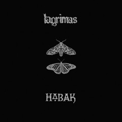 LAGRIMAS // HABAK SPLIT (full split)