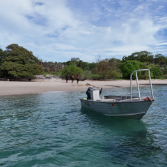 B A D  G Y A L (REMIIX 2025)💃