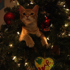 tinsel