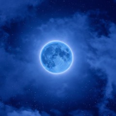 SPACE LYFE (W/ JAYACUU, NAAWWS)