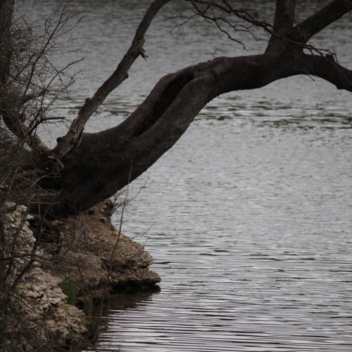 Puddle Of Thoughts
