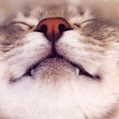 Em Nhớ Em Nhớ Lắm Em Muốn Anh Quay Về Đây Với Em Remix - Nhac TikTok Hay 2024 Gây Nghiện Hay Nhất