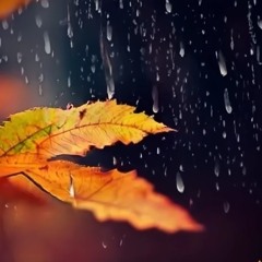 Autumn Rain