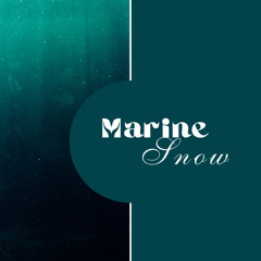 Marine Snow