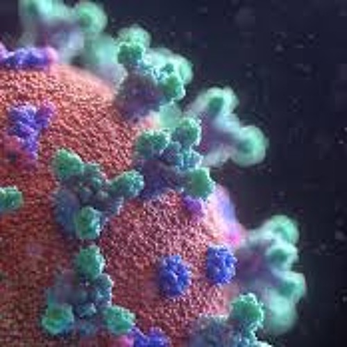 COVID-19 in a different point of view