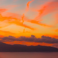 لا يستوي أصحاب النار و أصحاب الجنة - سورة  الحشر- جديد