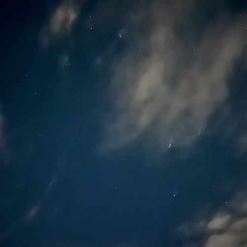 Ghost in the Machine (Cover by Me // Demo)