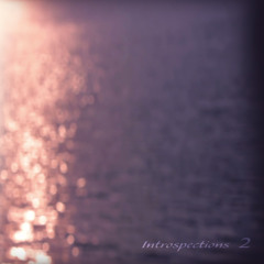 Introspections 2