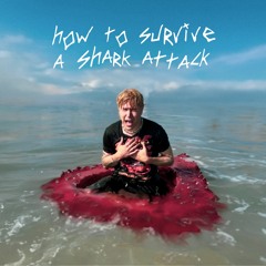 How To Survive a Shark Attack