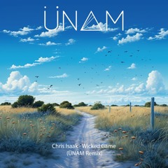Chris Isaak - Wicked Game (ÜNAM Remix) [Free Download]