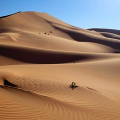 Somewhere In The Desert