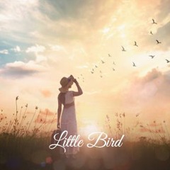 Little Bird - demo 2