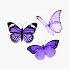 Poscad "El Poder de las Palabras" -  Entrenamiento 4