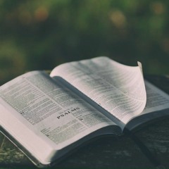 Psalms Compilation📖