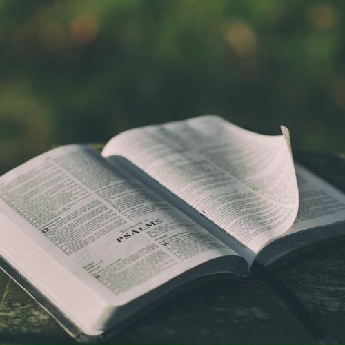 Psalms Compilation📖