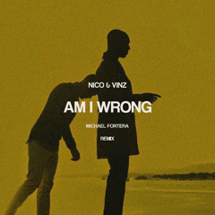 Am I Wrong (Michael Fortera Remix) "FREE DOWNLOAD"