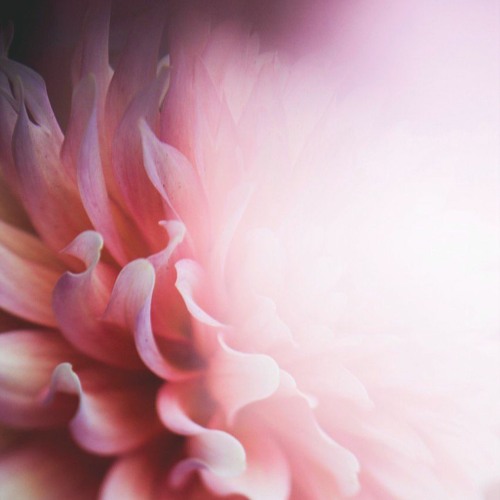 Katí - Ambrosial @ Hedoné Festival