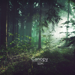 Canopy