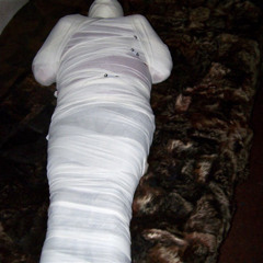 Mummified Bitches From The Floor To The Fucking Roof