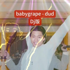 babygrape - dud (DJ SAKI Remix)