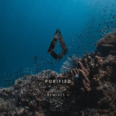 Like Mike, Braev, Adam Sellouk, HEREON - The Night (TH;EN Extended Remix) (Purified Records