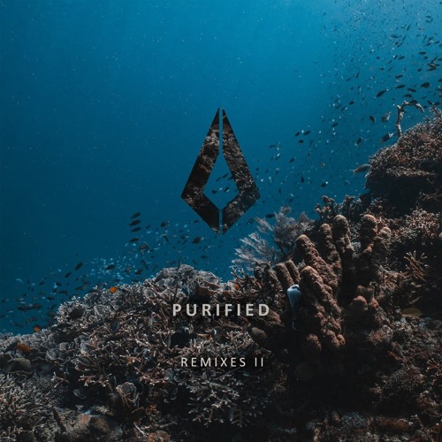 Like Mike, Braev, Adam Sellouk, HEREON - The Night (TH;EN Extended Remix) (Purified Records