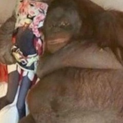 Ro playlist (in the works)