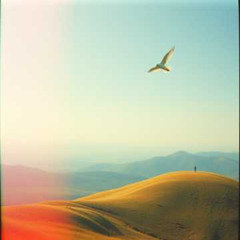 Flying Away